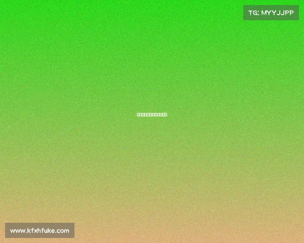 拳击赛事对阵表—拳击联赛